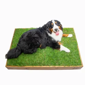 Garden Box Extra Grande