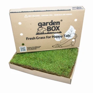 Garden Box Lite