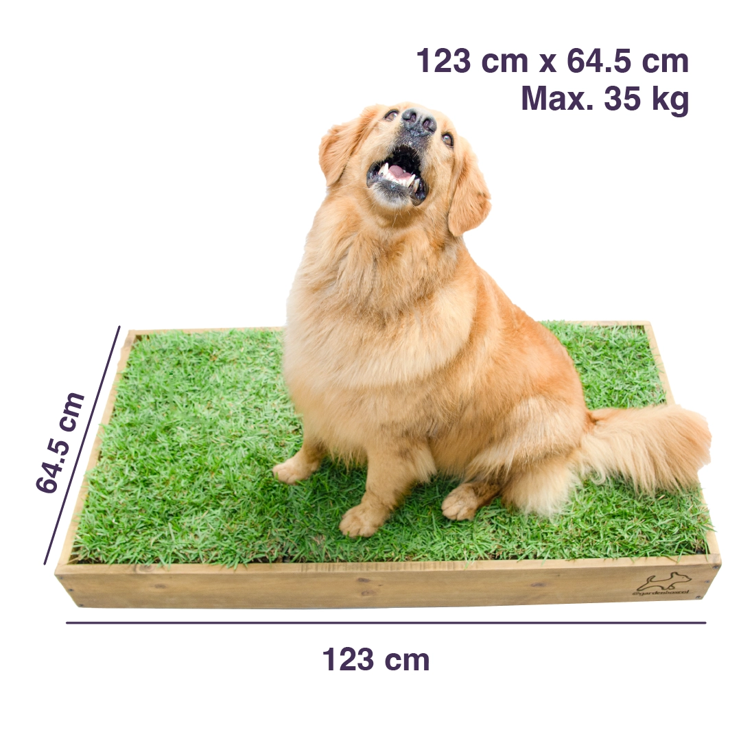 Garden Box Grande - Imagen 2