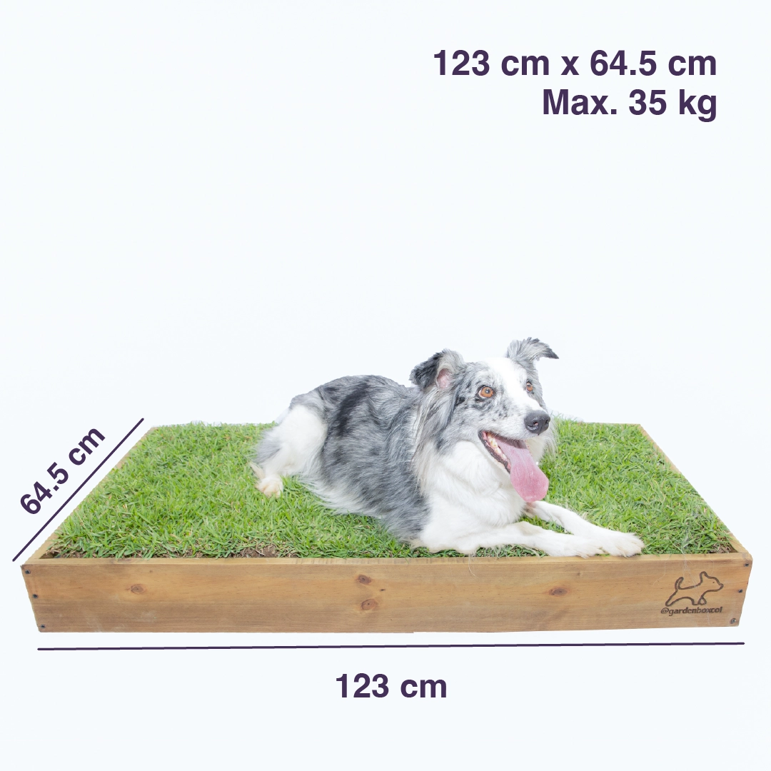 Garden Box Grande - Imagen 4