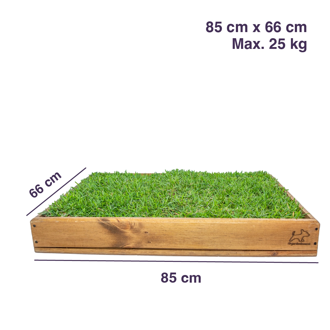Garden Box Mediana - Imagen 4