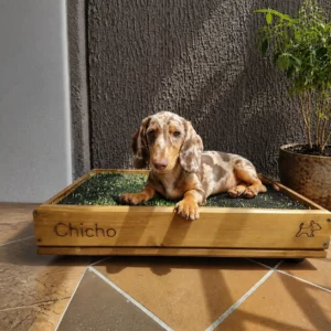 Garden Box Pequeña