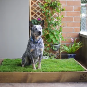 Garden Box Extra Grande