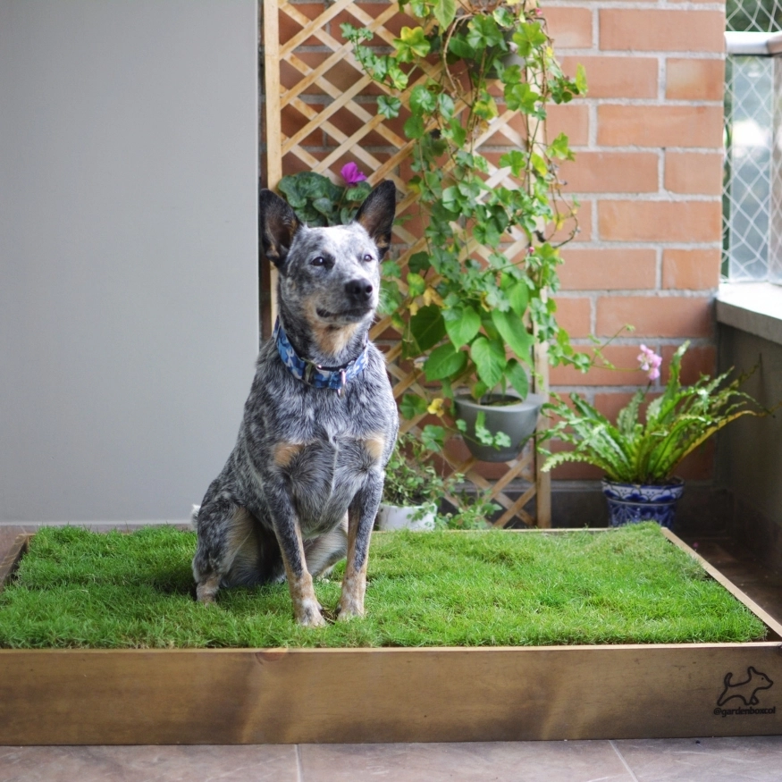 Garden Box Extra Grande