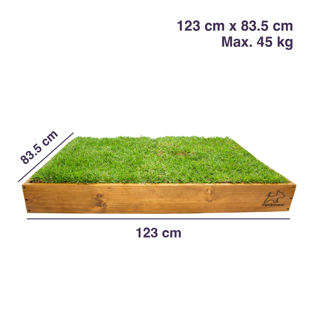 Garden Box Extra Grande - Imagen 4