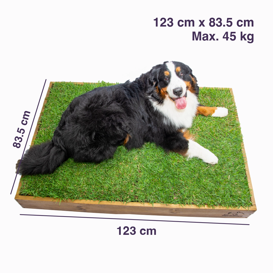 Garden Box Extra Grande - Imagen 2