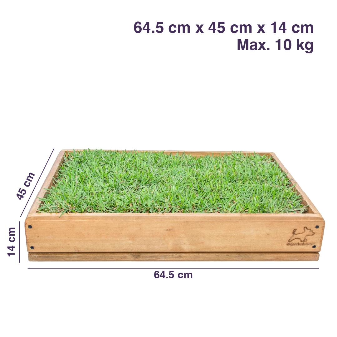 Garden Box Pequeña - Imagen 4