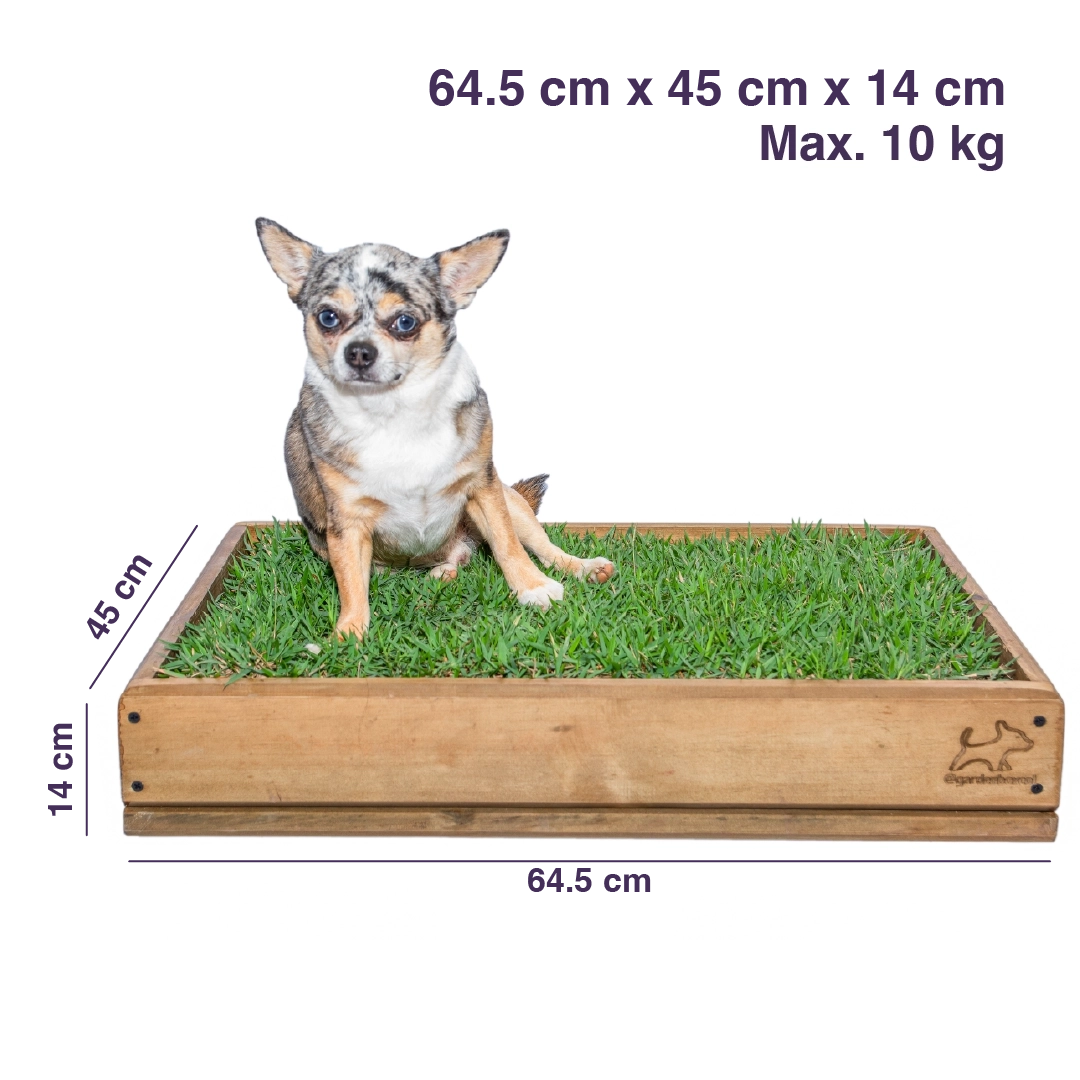 Garden Box Pequeña - Imagen 2